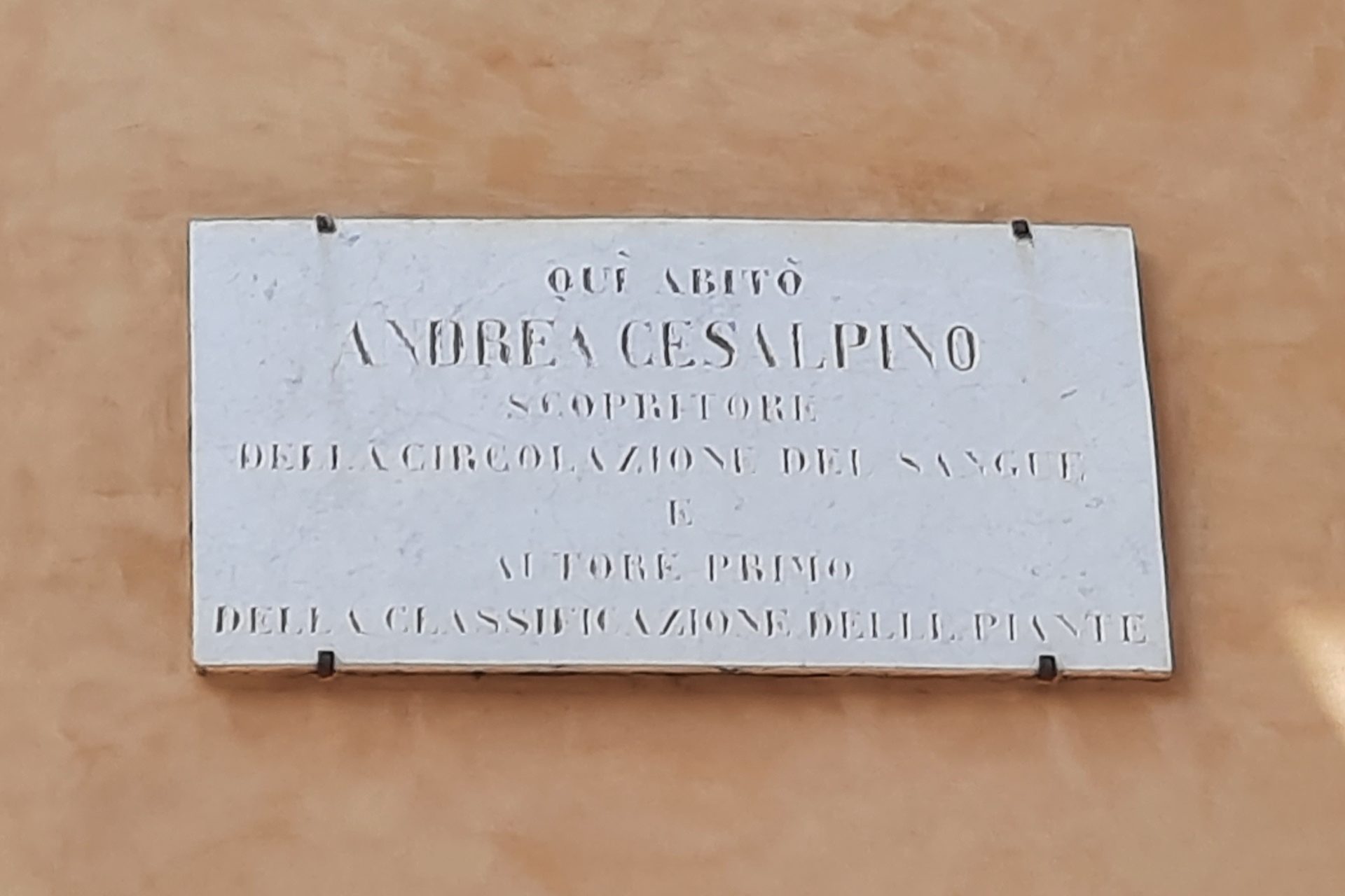 Andrea Cesalpino's home, Arezzo - 04.jpg